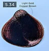 Gold Copper Easy Tech Gold Copper Easy Tech